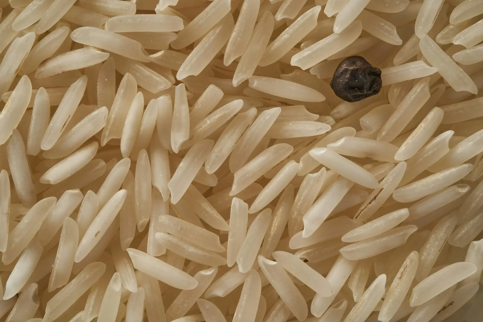 Golden sella 1121 basmati