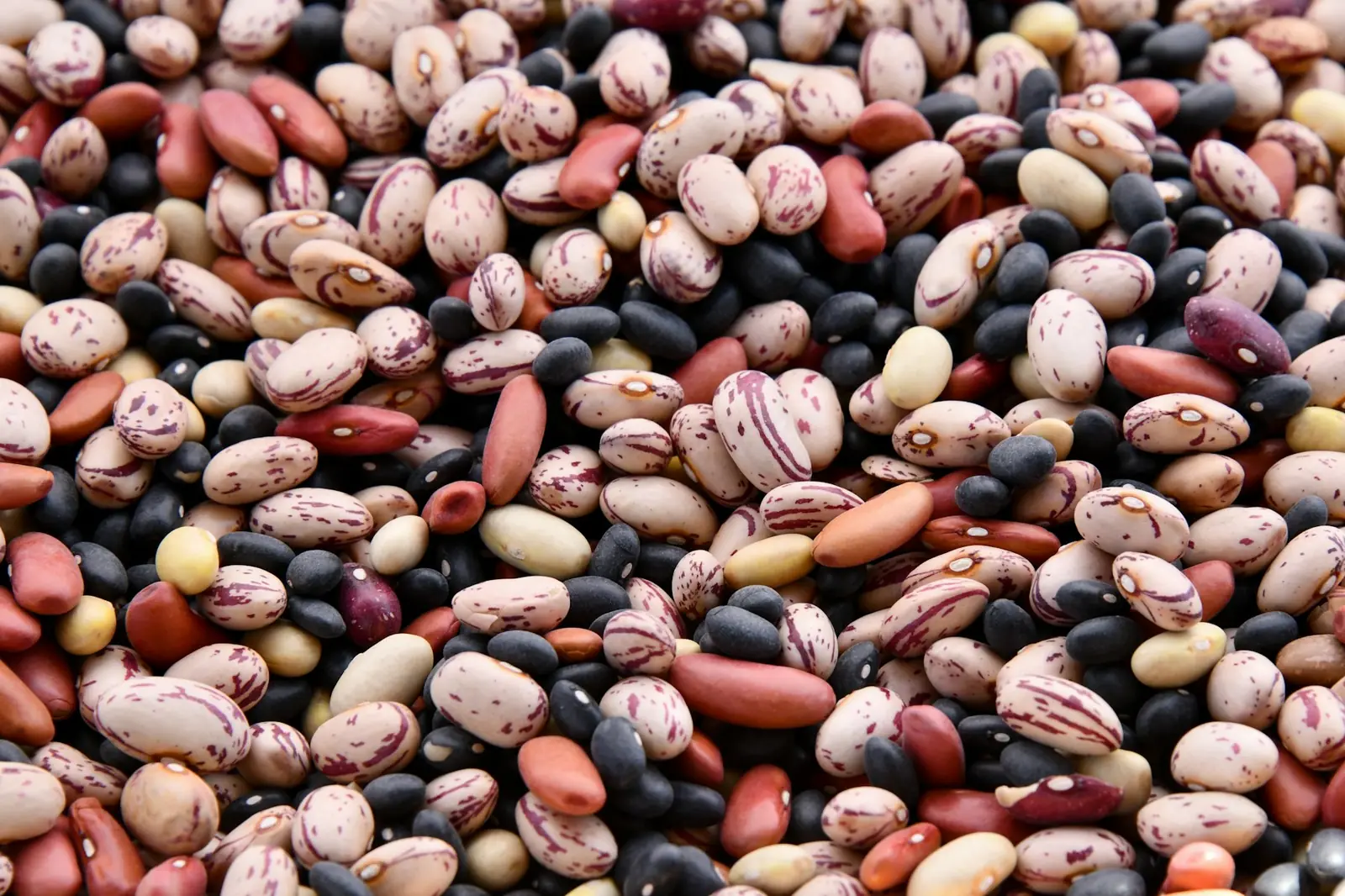 Pulses & lentils
