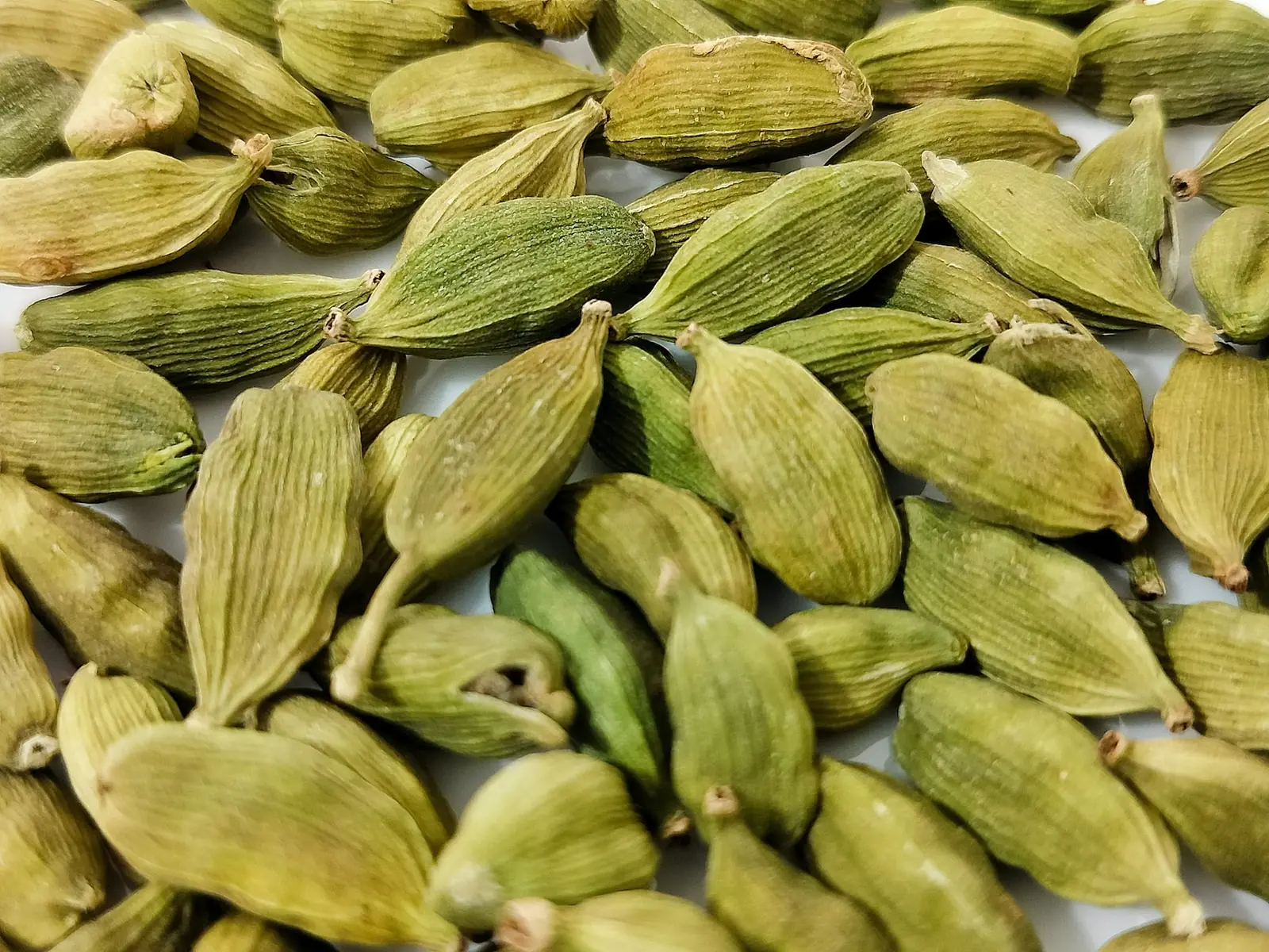 Green cardamom pods