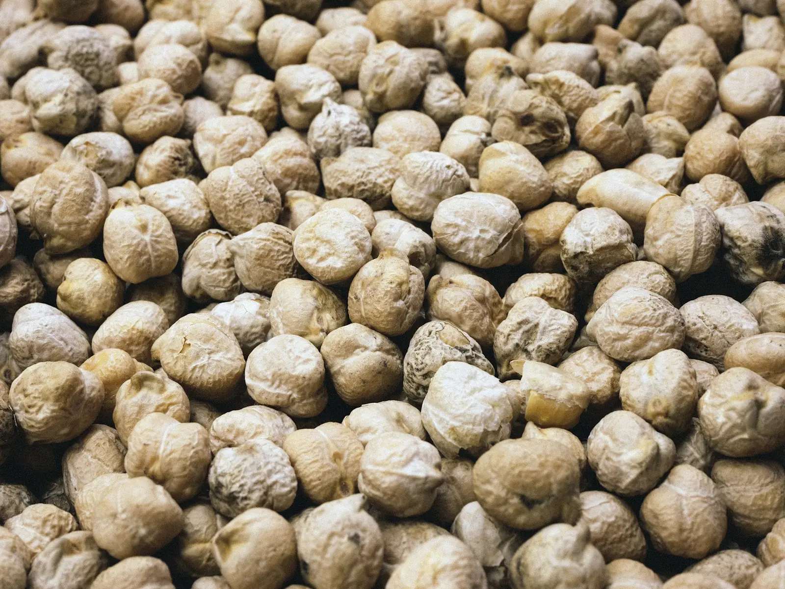 White beans and chickpeas, hand-sorted