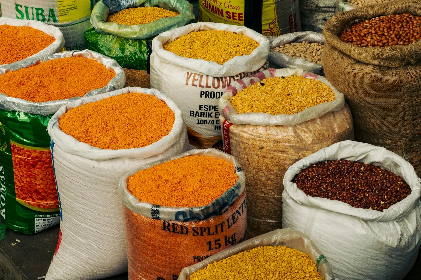 Pulses and lentils