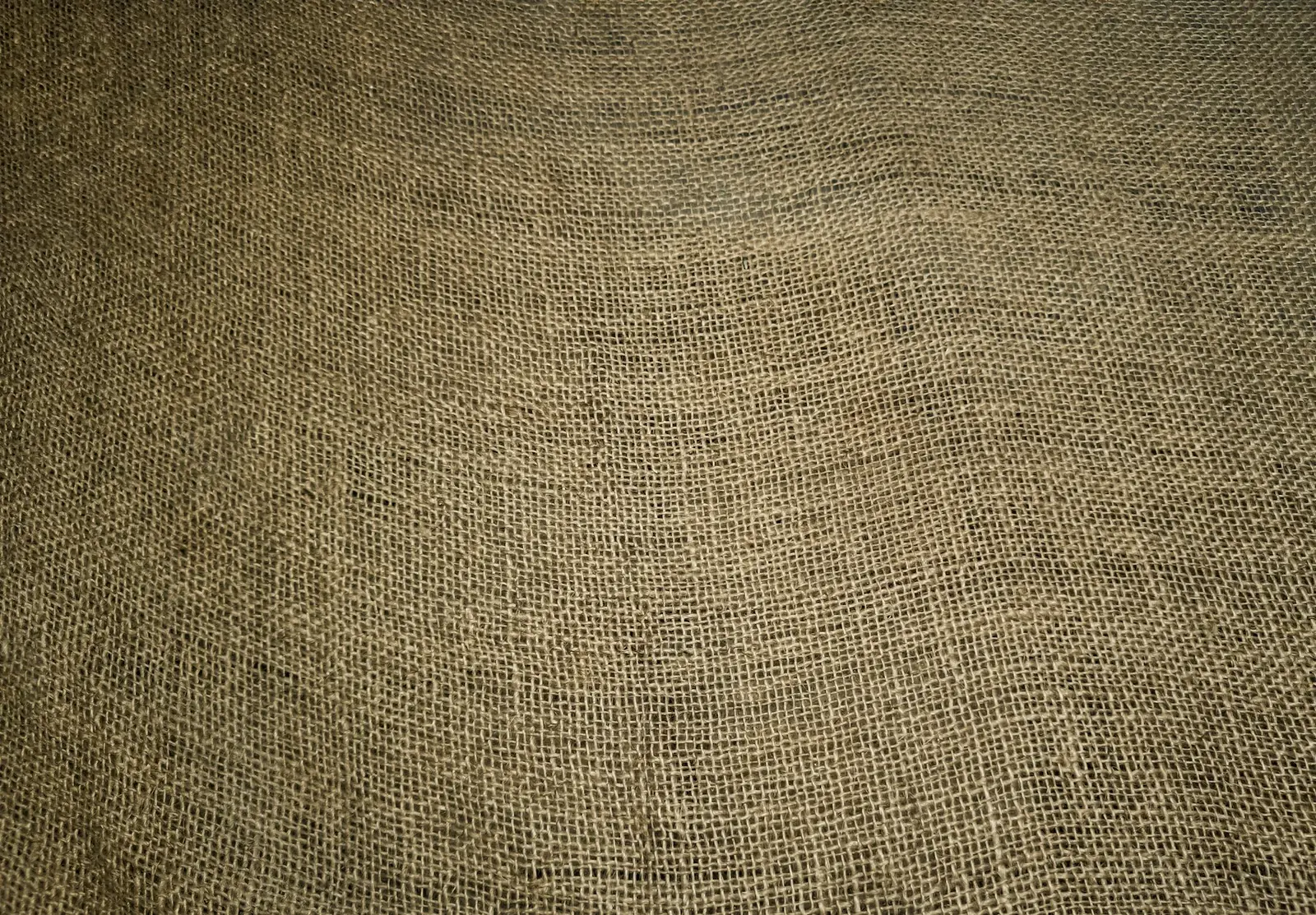 Oil seeds in jute