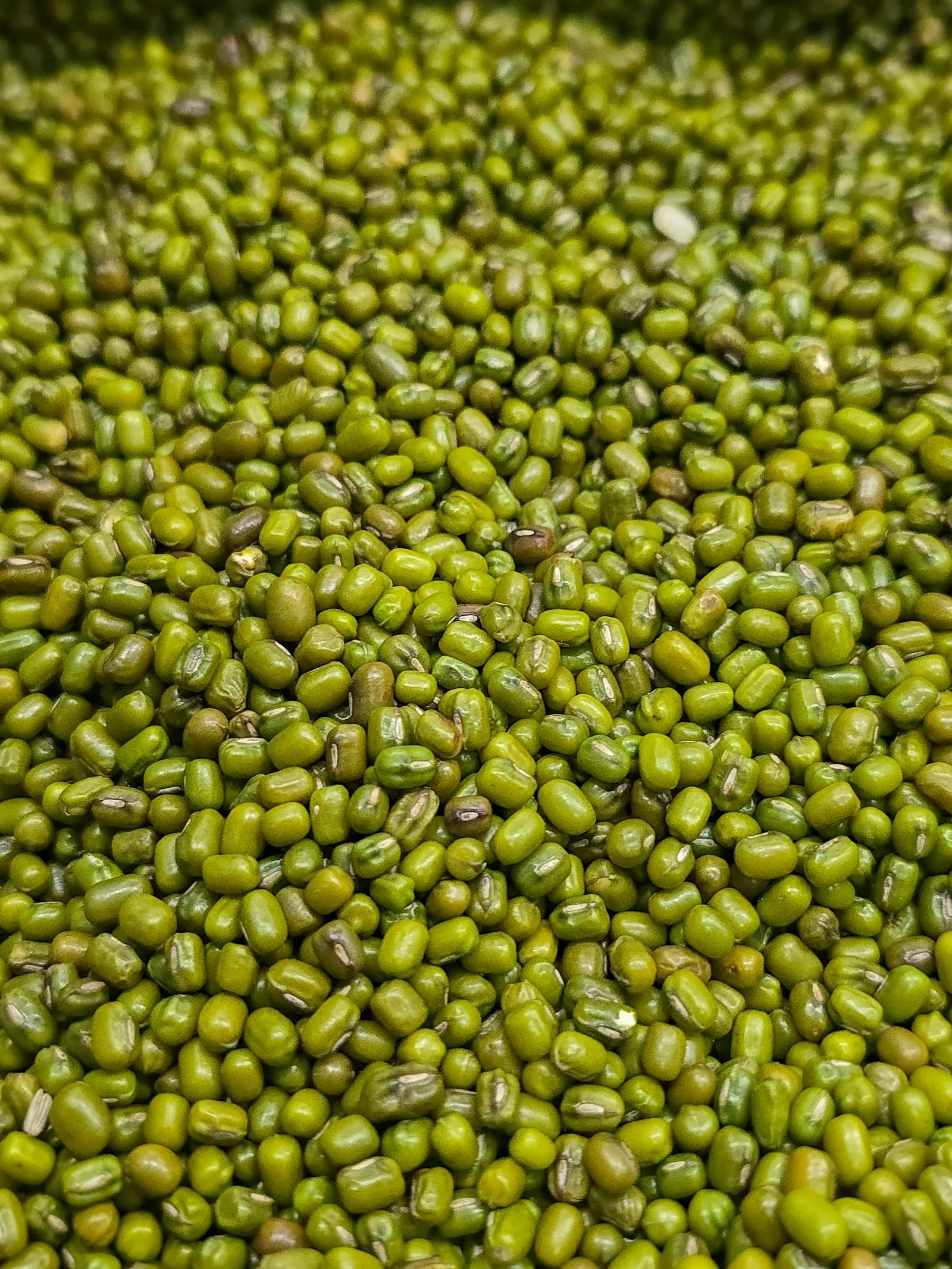 Sorted green mung beans