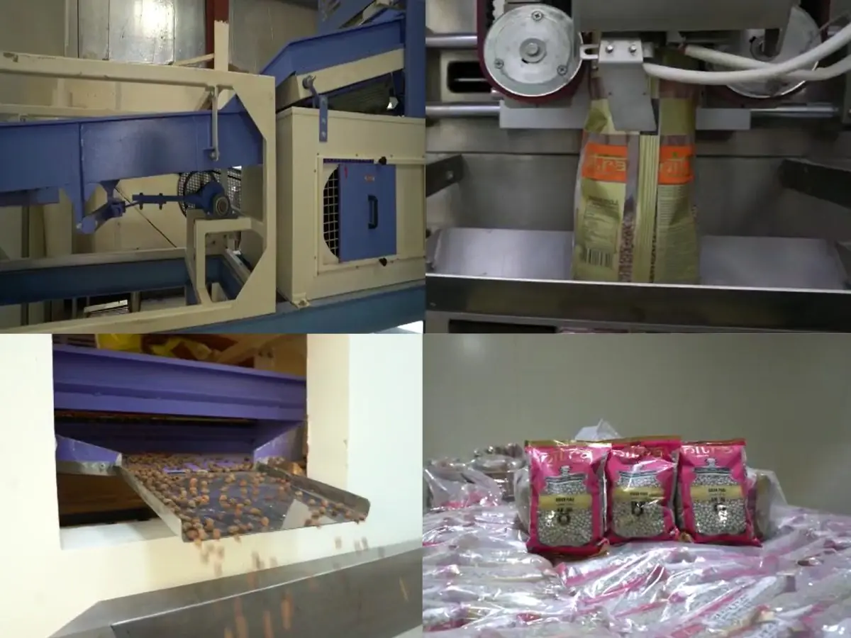 Retail packs on the packing line at Ras Al Khor, Dubai