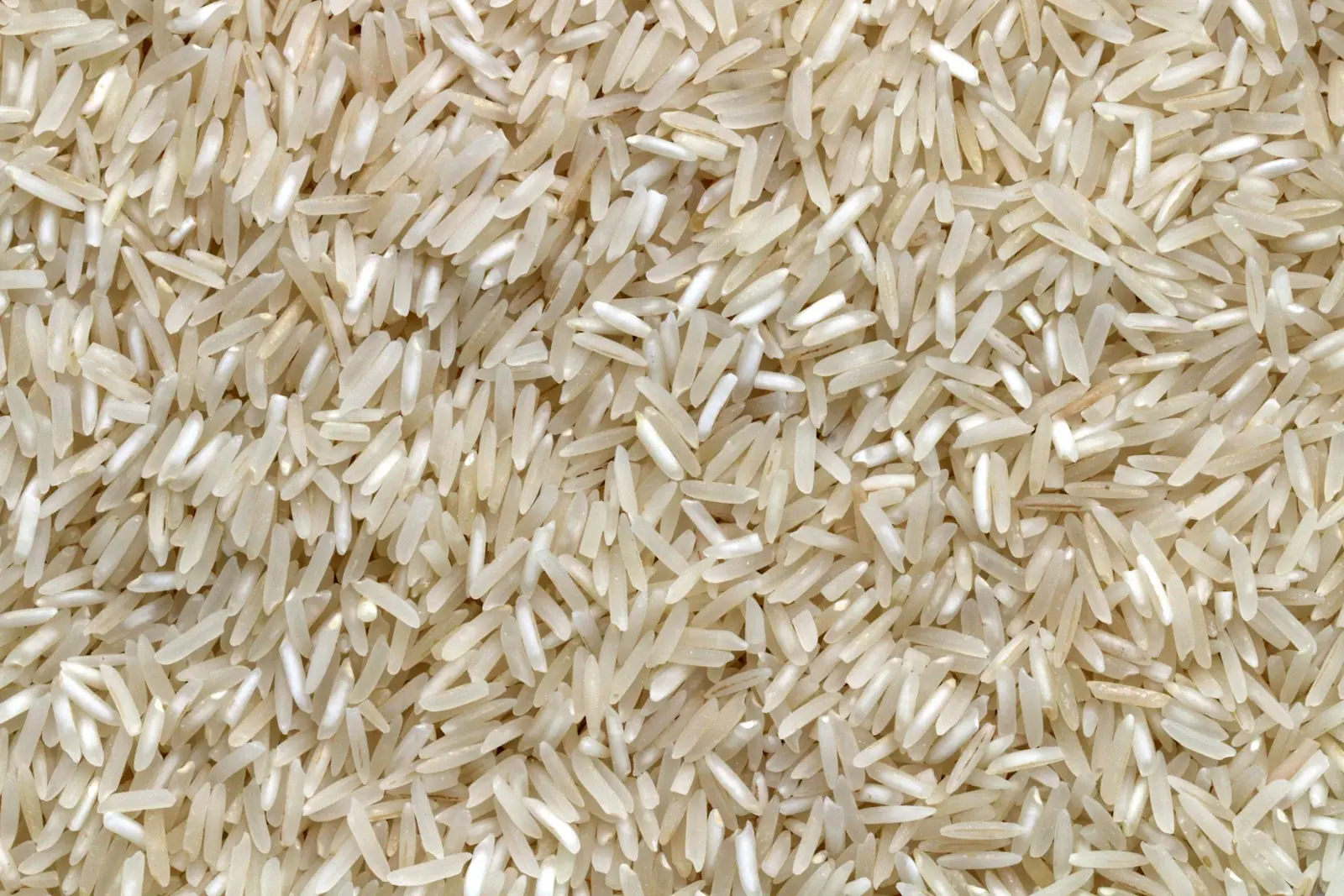 Long-grain basmati rice in close-up